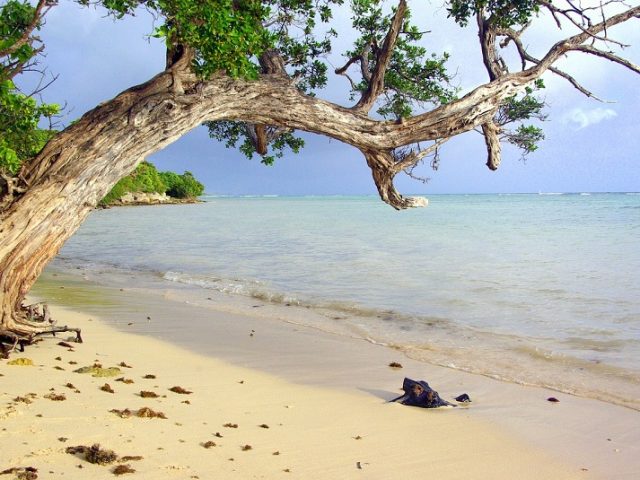 Tourisme en Guadeloupe