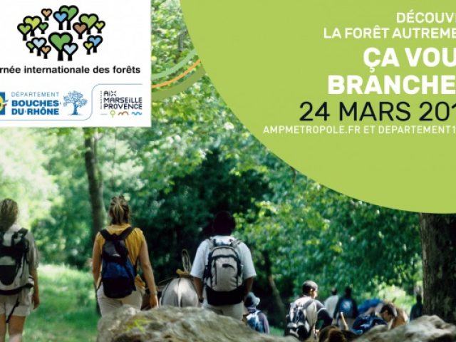 Journée internationale des forêts dans les Bouches du Rhône
