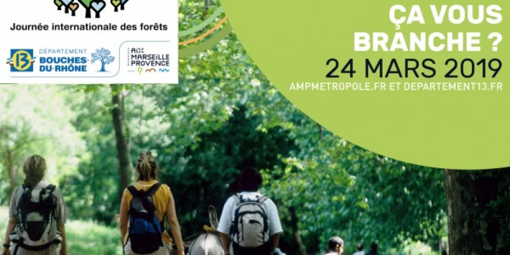 Journée internationale des forêts dans les Bouches du Rhône
