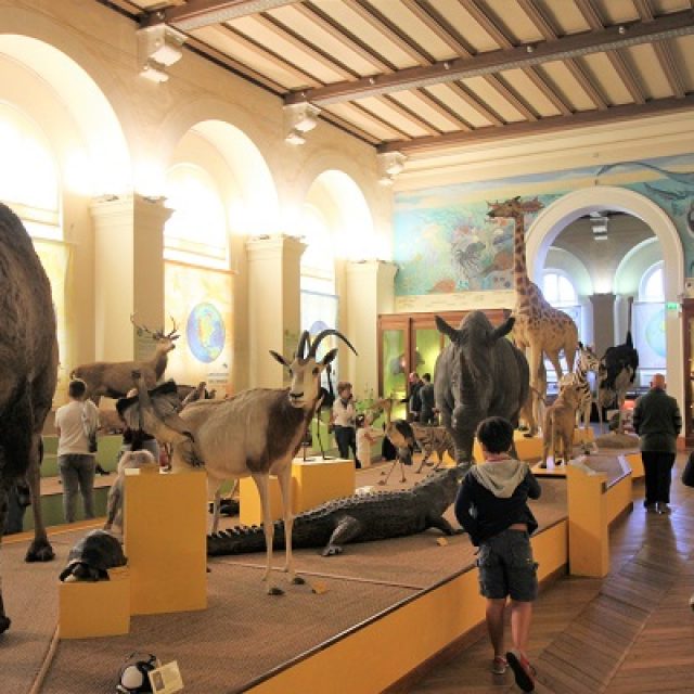 Le Museum d'Histoire Naturelle de Marseille