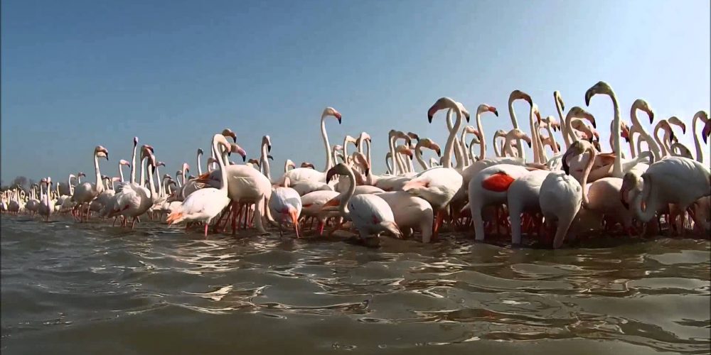 Une journée en famille aux Saintes-Maries-de-la-mer.